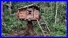 Man-Built-A-Wooden-House-On-A-Big-Tree-With-2-Doors-Balcony-And-Bush-Room-Off-The-Grid-01-ldes